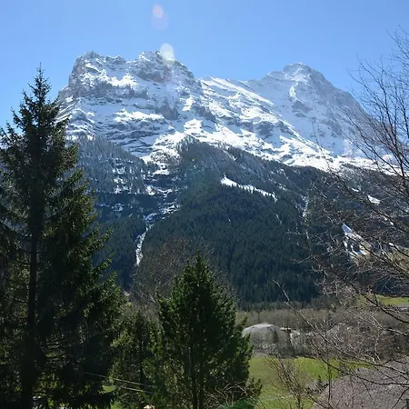 Lejlighed Nussbrach 4.5 - Griwarent Ag Grindelwald